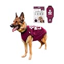 BellyGuard Dog Surgery Recovery Suit, Male Female After Spay Neuter Onesie