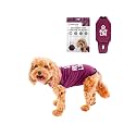 BellyGuard Dog Surgery Recovery Suit, Male Female After Spay Neuter Onesie