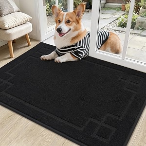 BEQHAUSE Door Mat 24 inch x 36