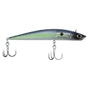 Berkley Finisher Fishing Hard Bait