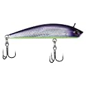 Berkley Finisher Fishing Hard Bait