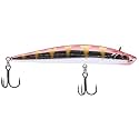 Berkley Finisher Fishing Hard Bait