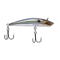 Berkley Finisher Fishing Hard Bait