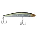 Berkley Finisher Fishing Hard Bait
