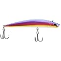 Berkley Finisher Fishing Hard Bait