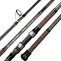 BERRYPRO Surf Rod Pure Carbon Surf Spinning Rod Graphite Surf Fishing Rod (9'/10'/11'/12') (9'-Spinning-2pc)