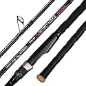 BERRYPRO Surf Spinning Rod Carbon Fiber Surf Rod Travel Fishing Rod (9'/10'/11'/12') (10'-Spinning-2pc)