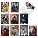 Best Card Co 10 Mini Notecards Dog Design Dogs in da Hood M3733OCB-B1x10-NB