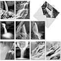 Best Card Co 10 Mini Boxed Notecards Waterfall Photography M3312