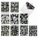 Best Card Co 10 Mini Assorted Notecards Sea Life Black &amp; White M9693OCB