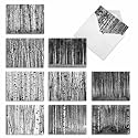 Best Card Co 10 Mini Blank Nature Boxed Notecards Whitewoods M6451OCB