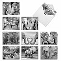 Best Card Co 10 Mini Blank Boxed Notecards Trunks of Love M2370OCB