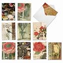 Best Card Co 10 Mini Blank Floral Boxed Notecards Secret Garden M6727OCB