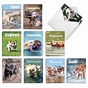 Best Card Co 20 Teamwork Bulk Notecards w/Envelopes AM3189OCB-B2x10