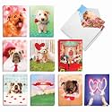 Best Card Co 20 Puppy Love Bulk Notecards w/Envelopes AM3188OCB-B2x10