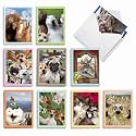 Best Card Co 20 Mini Animal Selfie All Occasion AM2373OCB-B2x10 Set