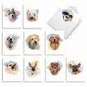 Best Card Co 20 Mini Boxed Note Cards Handsome Dogs AM3497OCB-B2x10