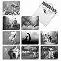 Best Card Co 20 Blank Dog Assorted Notes w/Sayings AM1623OCB-B2x10-NB