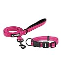Best Pet Supplies Voyager Nylon Dog Leash - Fuchsia Set, Small