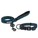 Best Pet Supplies Voyager Nylon Dog Leash - Blue Set, Small