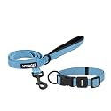Best Pet Supplies Voyager Nylon Dog Leash - Baby Blue Set, Small