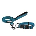 Best Pet Supplies Voyager Nylon Dog Leash - Turquoise, Large