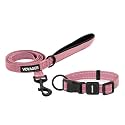 Best Pet Supplies Voyager Nylon Dog Leash - Pink Set, Small