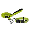Best Pet Supplies Voyager Nylon Dog Leash - Lime Green, Large