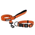 Best Pet Supplies Voyager Nylon Dog Leash - Orange Set, Small