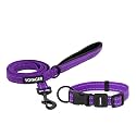 Best Pet Supplies Voyager Nylon Dog Leash - Purple Set, Medium