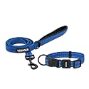 Best Pet Supplies Voyager Nylon Dog Leash - Royal Blue Set, Medium