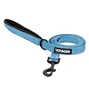 Best Pet Supplies Voyager Nylon Dog Leash - Sky Blue, Small
