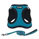 Best Pet Supplies Voyager Step-in Plush Dog Harness - Soft, Step-in Vest Harness and Reflective 5 ft Leash Combo with Neoprene Handle for Small and Medium Dogs, Turquoise Plush, L