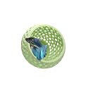 CTWPets Betta Bulb Hide 2.0, Betta Bed &amp; Aquarium Cave, Minty Dream