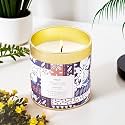 The Better Home Patchouli Scented Candle with Reusable Tin Jar for Bedroom &amp; Home Décor, Long-Lasting 15H Burn, Stress Relief &amp; Relaxation, Perfect Valentine’s Gift
