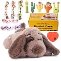 BEVERLYSHARK Heartbeat Puppy Toy Dog Anxiety Relief Calming Aid Heartbeat Stuffed Animal Behavioral Training and Sleep Aid Comfort Dog Toy Crate Training Heartbeat Dog Toy for Small Medium Large Dogs