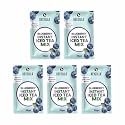 Bevzilla Blueberry Instant Iced Tea Mix – Pack of 5(30gm Each) | Delicious &amp; Hydrating | Quick to Prepare | Cool &amp; Refreshing Summer Beverage