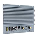 Bewinner Car Amplifier Board, 1000W High Power Subwoofer Amplifier with Fast Heat Dissipation, for 812in Subwoofers