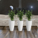 BGE Plant Container Set