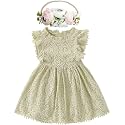 BGFKS Baby Girl Tutu Dress Elegant Lace Pom Pom Flutter Sleeve with Flower Headband Set