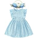 BGFKS Baby Girl Tutu Dress Elegant Lace Pom Pom Flutter Sleeve with Flower Headband Set