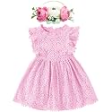 BGFKS Baby Girl Tutu Dress Elegant Lace Pom Pom Flutter Sleeve with Flower Headband Set