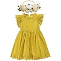 BGFKS Baby Girl Tutu Dress Elegant Lace Pom Pom Flutter Sleeve with Flower Headband Set