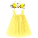 BGFKS Layered Tulle Tutu Dress for Toddler Girls,Baby Girl Rainbow Tutu Princess Skirt Set with Flower Headband.
