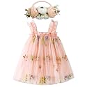 BGFKS Layered Tulle Tutu Dress for Toddler Girls,Baby Girl Rainbow Tutu Princess Skirt Set with Flower Headband.