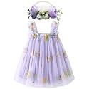 BGFKS Layered Tulle Tutu Dress for Toddler Girls,Baby Girl Rainbow Tutu Princess Skirt Set with Flower Headband.