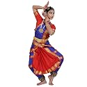 Bharatnatyam Costume for Girls Bharatanatyam Dress