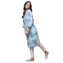 BIBA Women Rayon Regular Fit Liva Straight