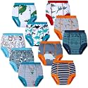 BIG ELEPHANT 10-Pack Potty Training Underwear, Toddler Training Pants