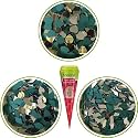The Big India Ceramic Clay Cones for Arts &amp; Crafts | Lippan Art | Mandana Art | Pottery | Liner | DIY Decorative Purposes (Pure for Sure) (12 Shape Mirror)